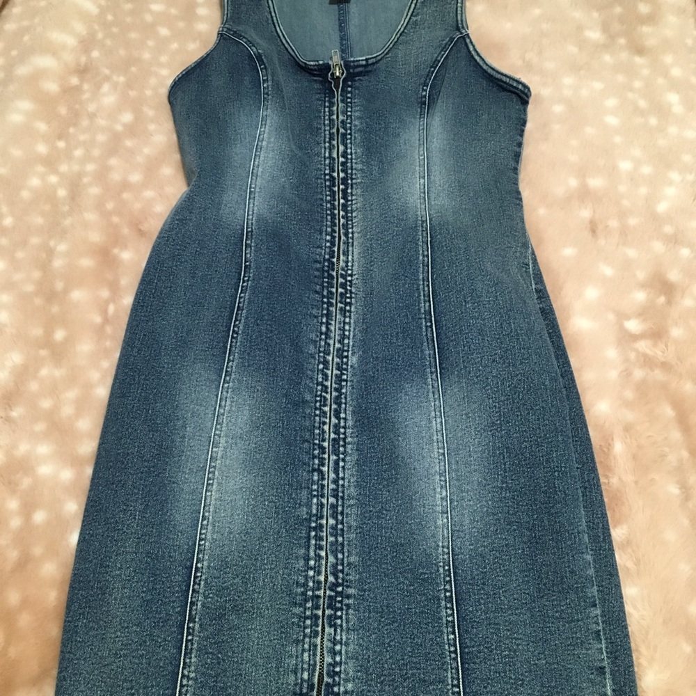 Venus Sleeveless Zip-Front Denim Dress - Picture 3 of 5